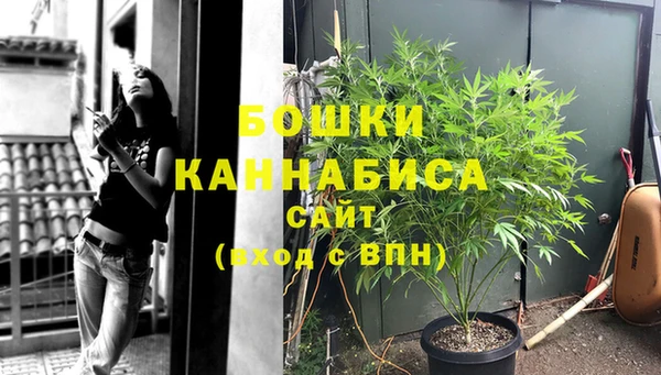 сатива Краснослободск