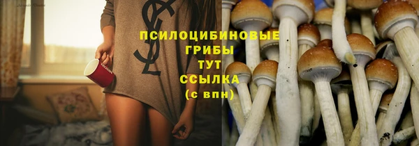 сатива Краснослободск