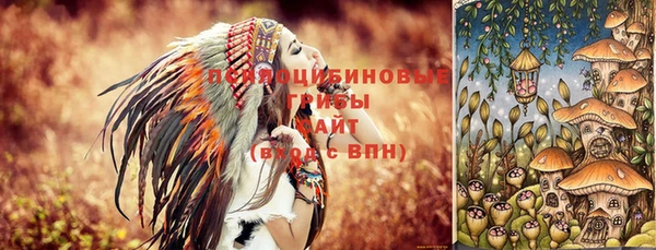 сатива Краснослободск