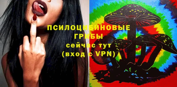 ГАЛЛЮЦИНОГЕННЫЕ ГРИБЫ Корсаков